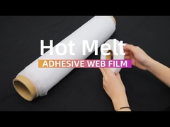 熱い溶解付着力網のフィルム