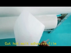 熱い溶解の付着力フィルム